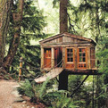 Treehouse-workshop-s