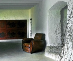 Trees and Branches as Decor
