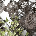 Tumbleweed-s