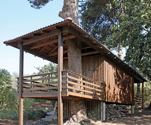 Two-tree-house-by-golany-architects-m
