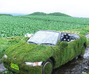 Ultimate Eco Fashion!: Lawned Cars and more... 