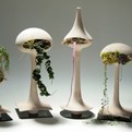 Unique-estates-of-wood-by-tend-s