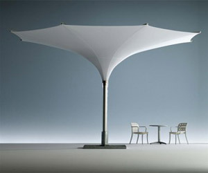 Unique-parasol-umbrellas-tulip-parasols-from-mdt-m