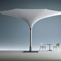 Unique-parasol-umbrellas-tulip-parasols-from-mdt-s