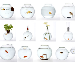 Unusual-blown-glass-fishbowls-m