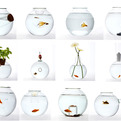 Unusual-blown-glass-fishbowls-s