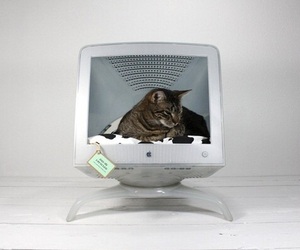 Upcycled-apple-computer-pet-bed-m