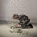 Urban-environment-interventions-by-loopph-s