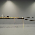 Usin-e-at-the-gallery-s