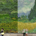 Van-gogh-painting-recreated-with-8000-plants-s
