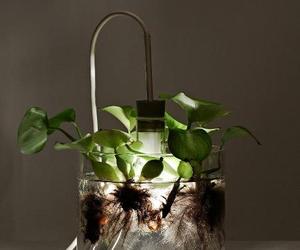 Vase & Leuchte by Miriam Aust