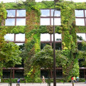 Vertical-garden-looks-refreshing-s