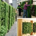 Vertical-gardening-everything-you-wanted-to-know-s