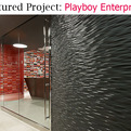 Vertical-surface-playboy-enterprises-lobby-s