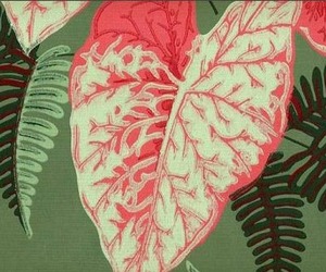 Vintage-wallpaper-second-hand-rose-m