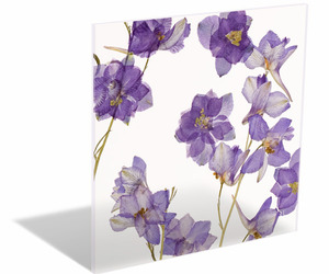 Violet-fields-lumicor-resin-panel-m