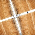 Vivistonetm-honey-partition-wall-s