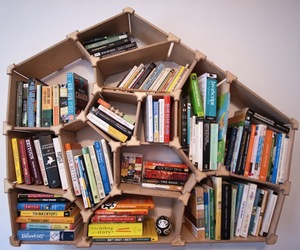 Voronoi Bookshelf by Alan Rorie