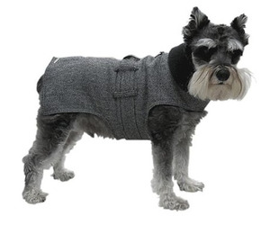 Wall-street-dog-trench-coat-m