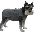 Wall-street-dog-trench-coat-s
