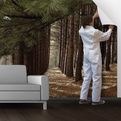 Wall-you-need-is-lovetm-s