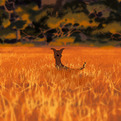Watch-all-the-oscar-nominees-for-best-animated-short-s