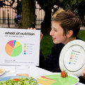Wheel-of-nutrition-s
