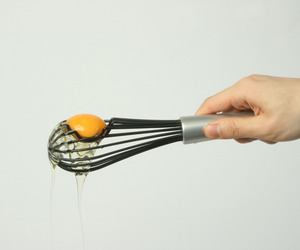 Whisk-by-ivan-zhang-m