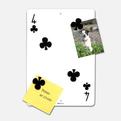 Wild-card-wall-mounted-magnetic-board-s