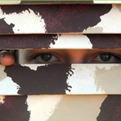 Window-blinds-in-colorful-camouflage-s