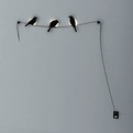 Wire-birds-s