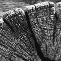 Woodbank-a-source-for-reclaimed-salvage-and-fsc-certified-green-wood-products-s