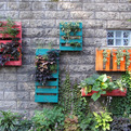Wooden-pallets-s