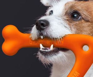 Wooferang-pet-toy-by-atypyk-paris-3-m
