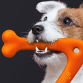 Wooferang-pet-toy-by-atypyk-paris-3-s