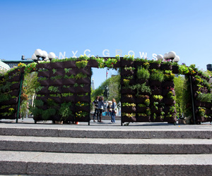 Woolly-pockets-earth-day-installation-m