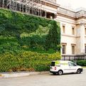 Worlds-first-living-wall-painting-s