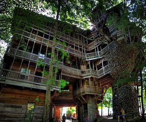 Worlds-tallest-tree-house-is-100-feet-tall-m