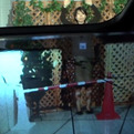 You-can-now-see-through-a-cars-backseat-when-driving-s