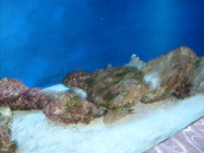 S6301598