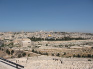 img_0190