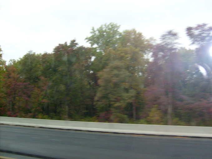 S6300671