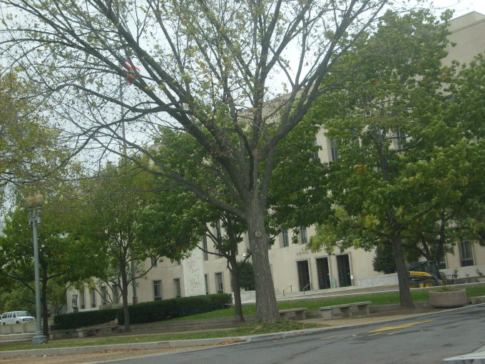 S6300690