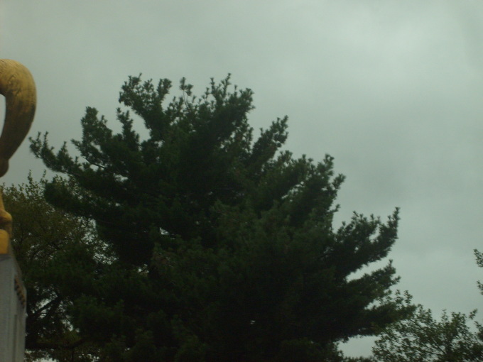 S6300713