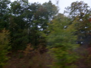 S6300667