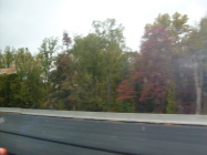S6300673