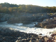 S6300866