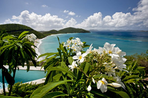 100PondBay-Floral.jpg