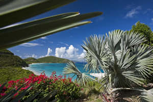 100PondBay-GardenView.jpg