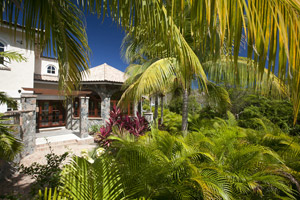 ALaMerHousePalms.jpg